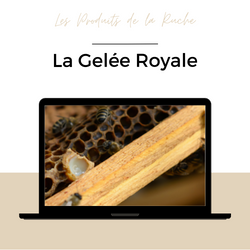 La Gelée Royale