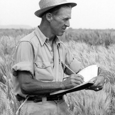 Norman Borlaug - gluten Biologie - Karma Santé