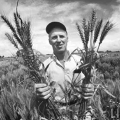 Norman-Borlaug-gluten-Ble-Karma-Sante